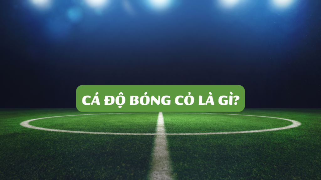 Cá Độ Bóng Cỏ Là Gì?